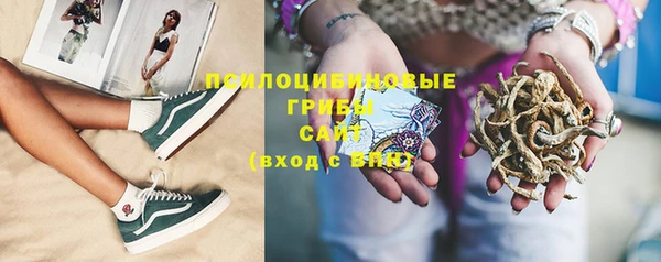 МДПВ Алзамай